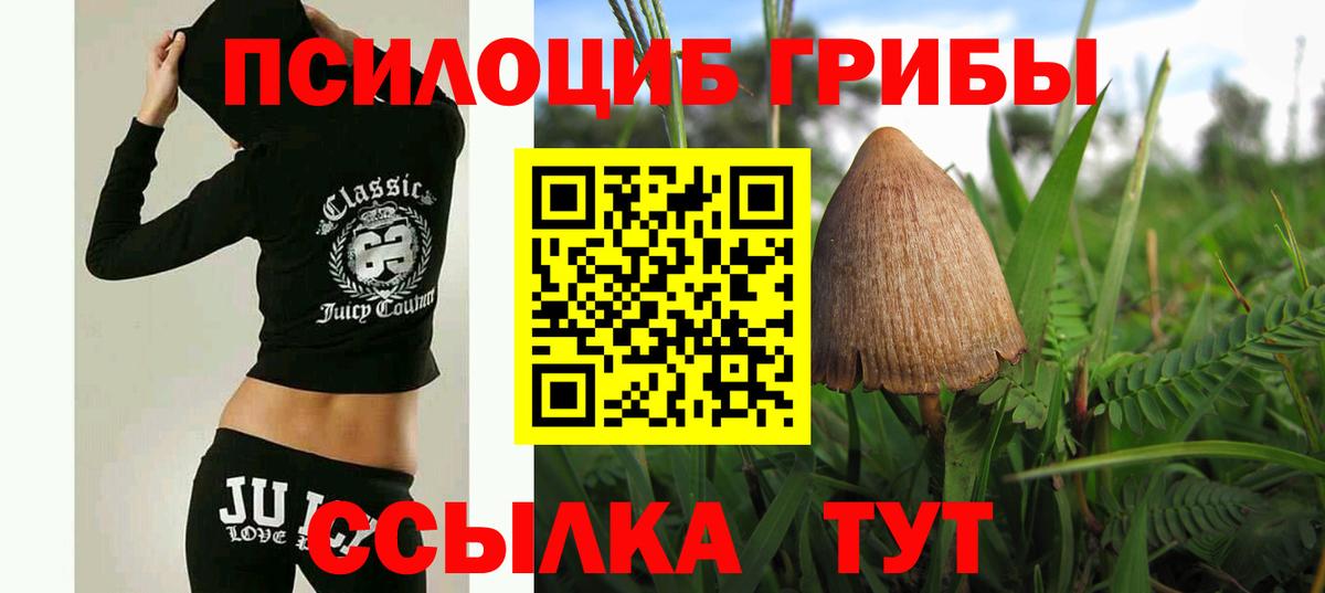 Псилоцибиновые грибы мухоморы Ухта