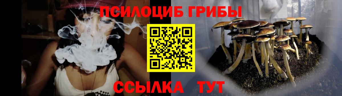 Ухта  Галлюциногенные грибы Psilocybe  Вход с VPN 